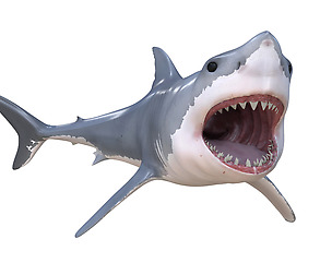 Great white shark 3D Model