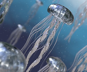 Jelly Fish 3D Model