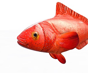 Red Grouper Fish 3D Model