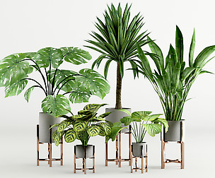 Wide Leaf Plants Collection Experiment