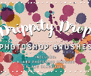 Drippity Drop Paint Drips Photoshop Brushes