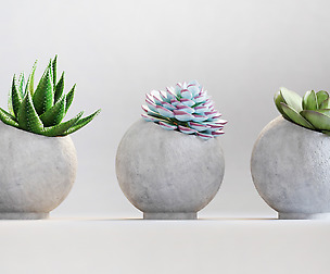 decor_plant_001