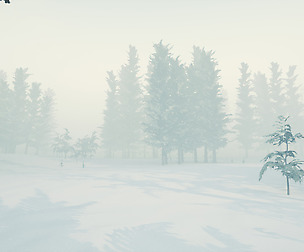 Winter Trees - Unreal Engine 4