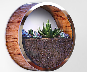 plant_004