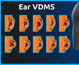 Zbrush - Ear- VDM Brushes