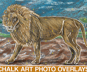 Sidewalk Chalk art Overlay, Lion