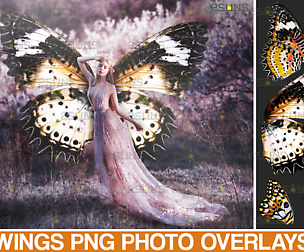 Halloween overlays Wings Photo Overlay
