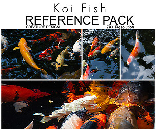 Creature Design Reference Pack - Koi Fish