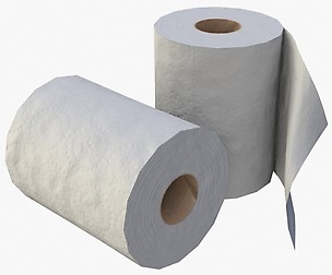 Toilet Paper Rolls