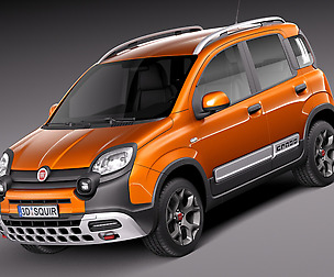 Fiat Panda Cross Country 2014