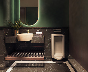 Hotel Toilet
