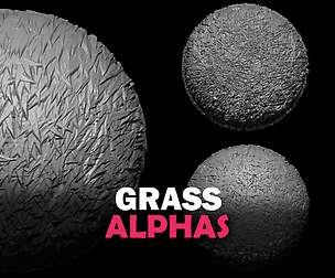 10 Grass Alphas Vol.1 (ZBRush, Substance, 2K)