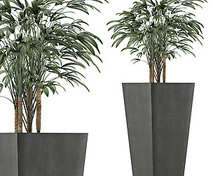 Single Plant 09