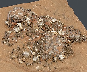 Beach Rock_0004_only HighPoly Mesh (16K Texture)