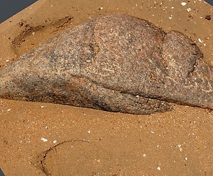 Beach Rock_0006_only HighPoly Mesh (16K Texture)