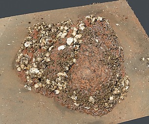 Beach Rock_0007_only HighPoly Mesh (16K Texture)