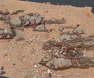 Beach Rock_0009_only HighPoly Mesh (16K Texture)
