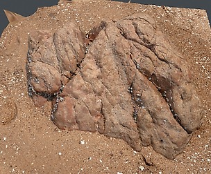 Beach Rock_0011_only HighPoly Mesh (16K Texture)