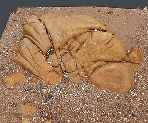 Beach Rock_0013_only HighPoly Mesh (16K Texture)