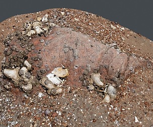 Beach Rock_00015_only HighPoly Mesh (16K Texture)
