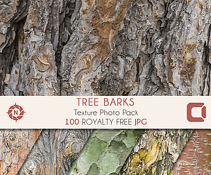 Tree Barks - Texture Photo Pack