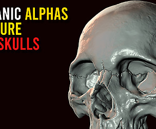 35 Organic Alphas Texture For Skulls Making