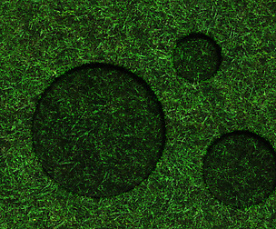 Grass/hedge texture