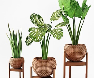 set vases-No2- wicker Vase by 3 plant