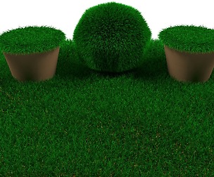 grass