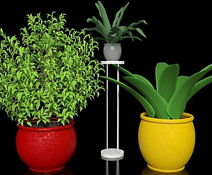 Plants collection001