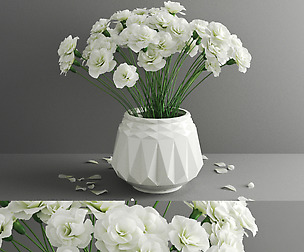 flower107