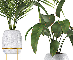 Plants collection 0.1
