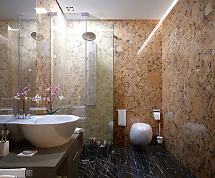 ACP Bathroom