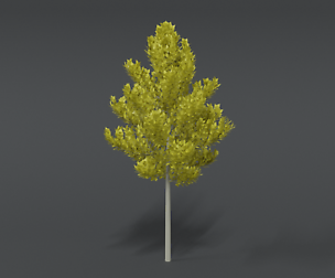Cartoon Style Tree