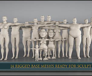 14 Rigged Base Mesh