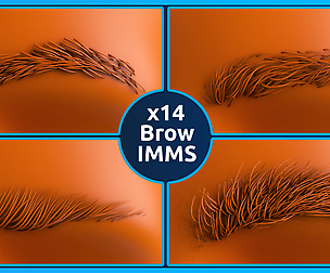 14 Zbrush Eyebrow IMMS
