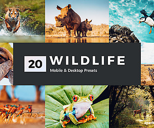 20 Wildlife Lightroom Presets and LUTs