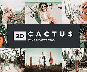 20 Cactus Lightroom Presets and LUTs