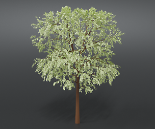 Cartoon Tree 3D