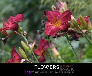 Flowers CREATIVE PACK