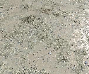 Dirt Terrain PBR Pack 5 textures