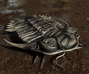 Trilobite 04 - KAYSEROPS