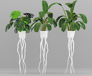 flower set_05 monstera plant pots_01
