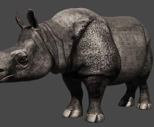 Rhino rigged animated