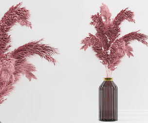 Pampas decorative set_03