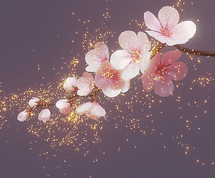 Cherry blossom branch