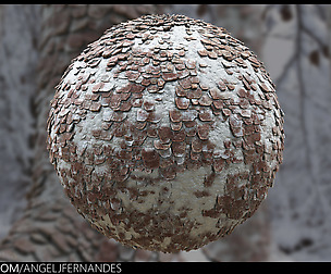 Tree Bark Material - Substance Designer