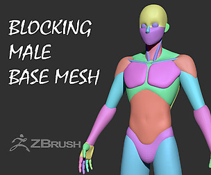 Blocking  Male Base Mesh