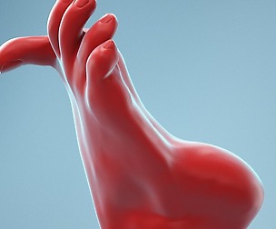 Big Toe Pointing Realistic Foot