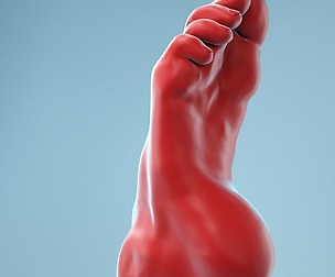 Crunched Toes Realistic Foot